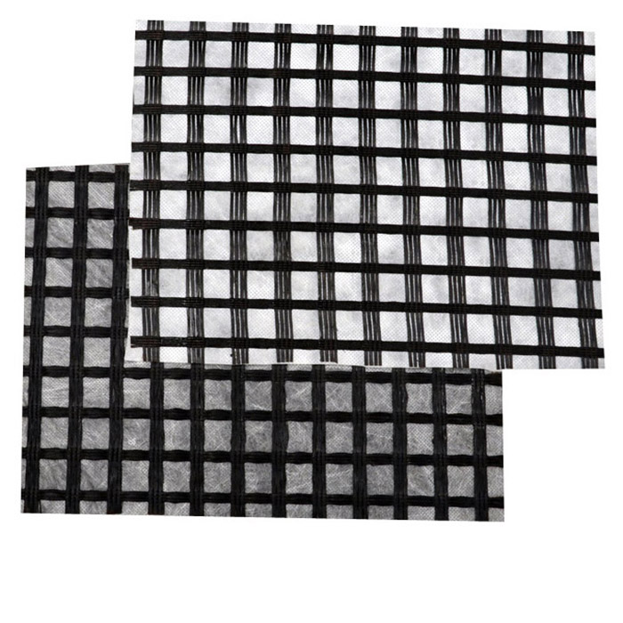 Steel plastic composite geogrid for road