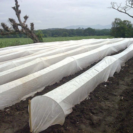 Agriculture hydrophilic nonwoven fabric