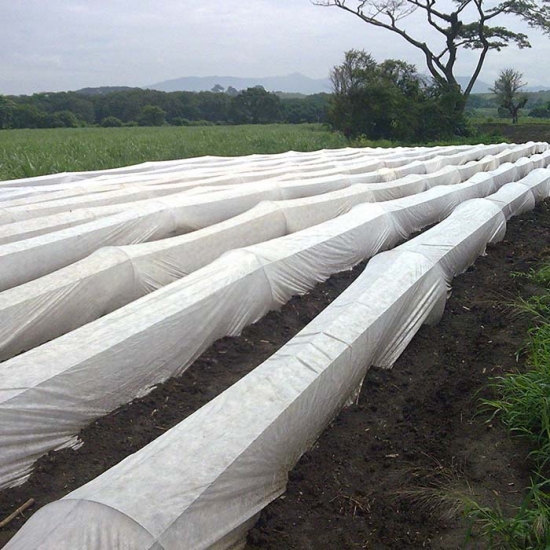 Outdoor nonwoven ground cover