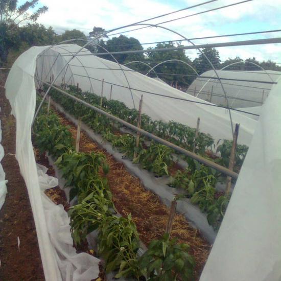 Agriculture hydrophobic nonwoven fabric