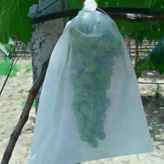 Non-woven fruit cover for protecting